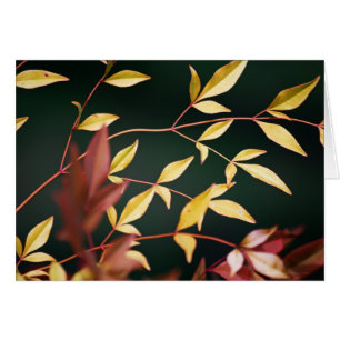 Cartão vermelho e Dourado