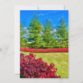 Cartão Vermelho e Verde de Natal