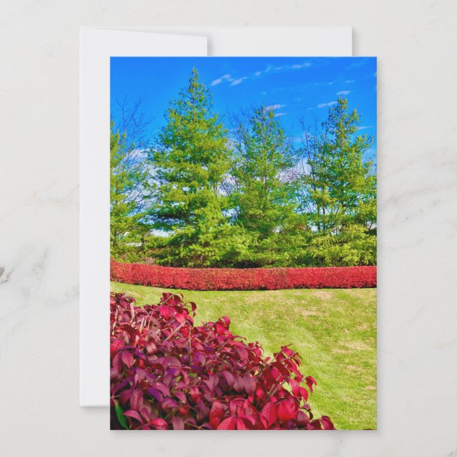 Cartão Vermelho e Verde de Natal (Frente)