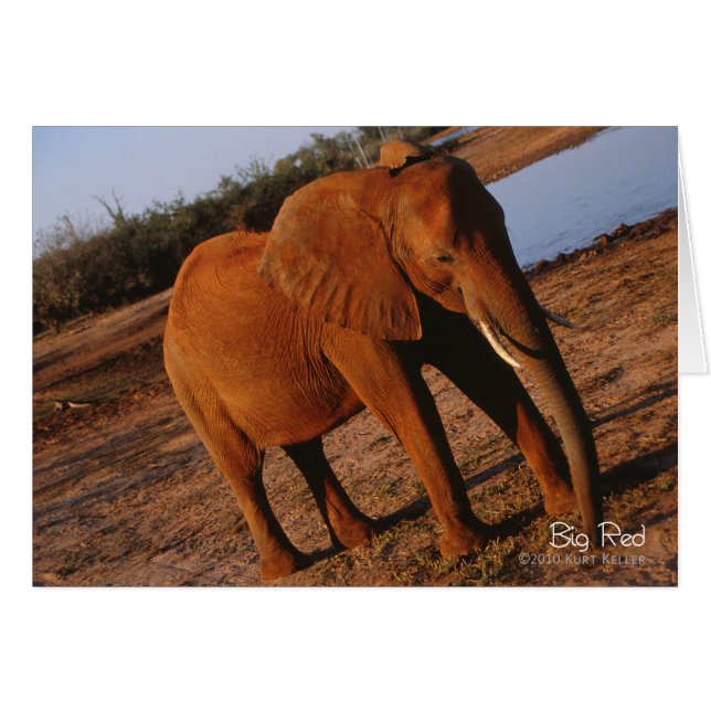 Cartão Vermelho Grande (Frente Horizontal)