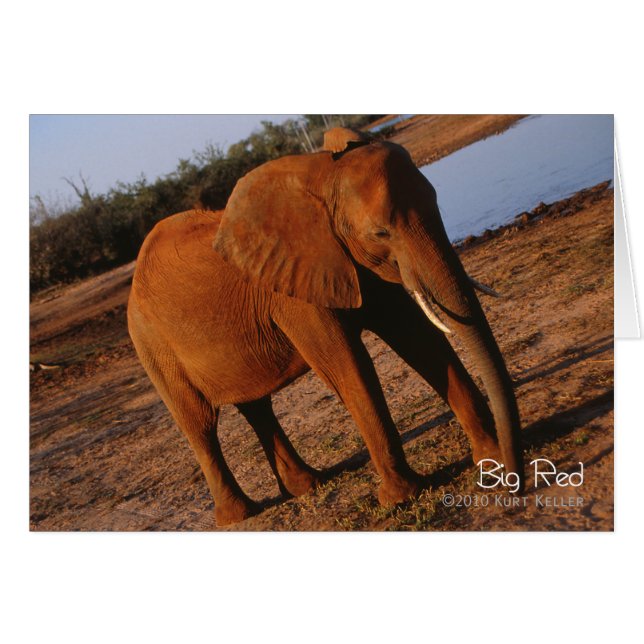 Cartão Vermelho Grande (Frente horizontal)