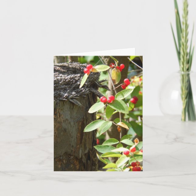 Cartão Vermelho na Madeira (Frente)