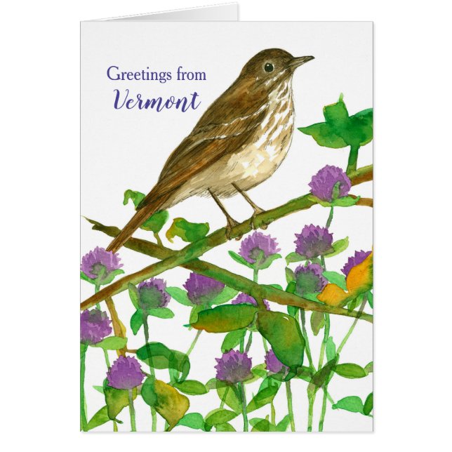 Cartão Vermont Hermit Thrush Clover Olá Amigo (Frente)