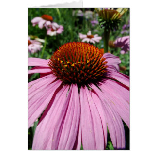 Cartão vers le jardin