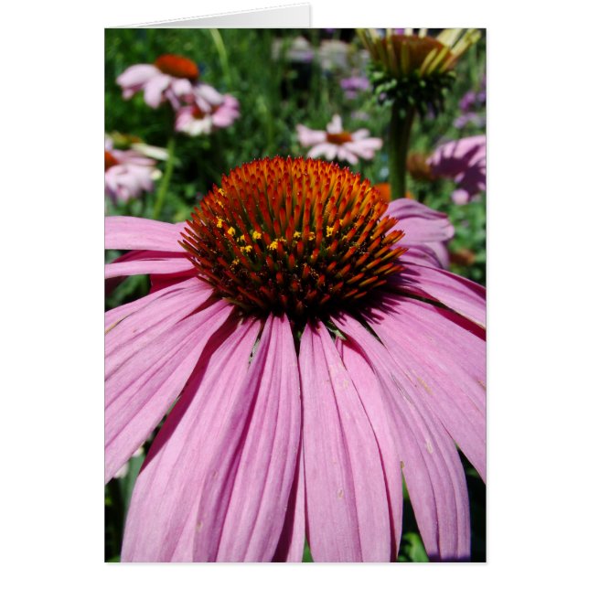 Cartão vers le jardin (Frente)