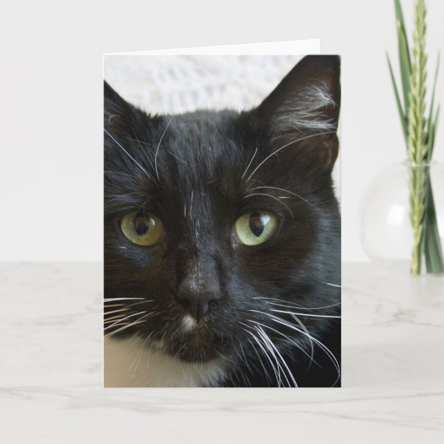 Cartão Vertical Greeting Card: Lilly the Cat (Frente)