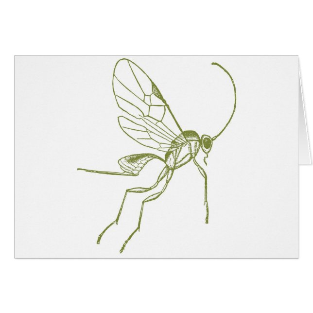 Cartão Vespa, Hyphantria de Meteorus (Frente Horizontal)