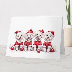 Cartão Vestido de Natal Bichon Frise Chapéu do Papai Noel