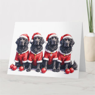 Cartão Vestido de Natal da Terra Nova com Chapéu de Papai