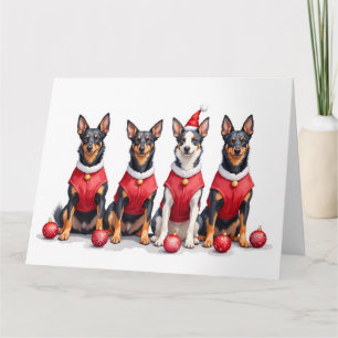 Cartão Vestido de Natal do Australian Kelpie com Chapéu d