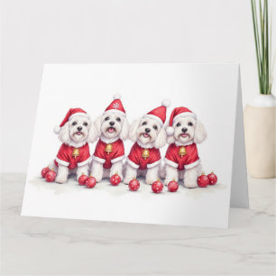 Cartão Vestido de Natal Havanese com Chapéu de Papai Noel
