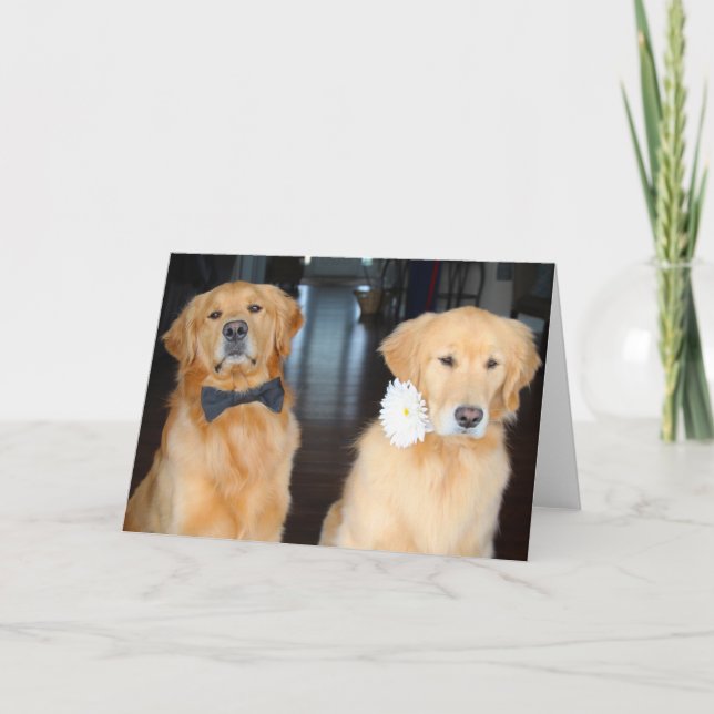 Cartão Vestido Duo (Frente)