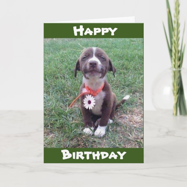 CARTÃO ***VESTINDO UM DIA APENAS PARA VOCÊ*** FELIZ ANIVE (Frente)