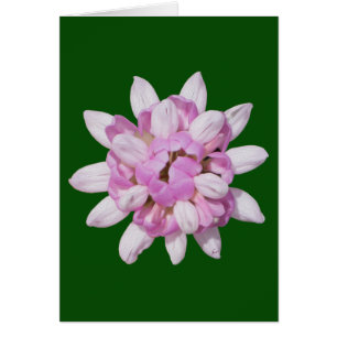 Cartão Vetel Coroa #1