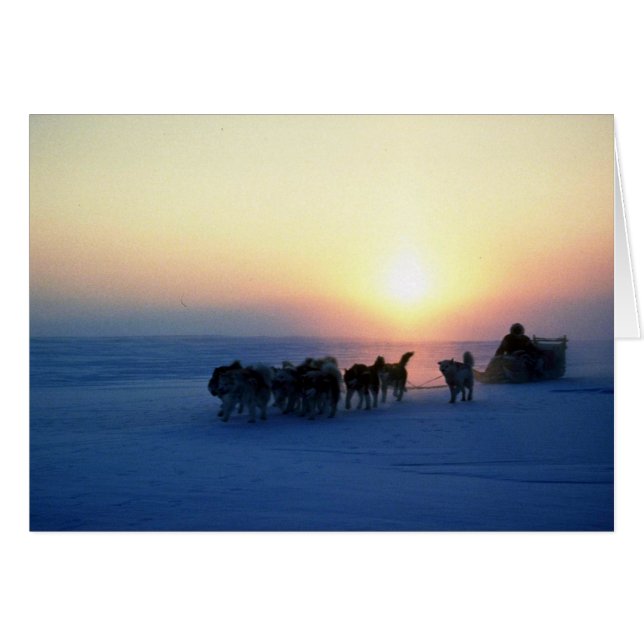 Cartão Viagem de trenó a 45 graus Celsius, Baffin Isla (Frente Horizontal)