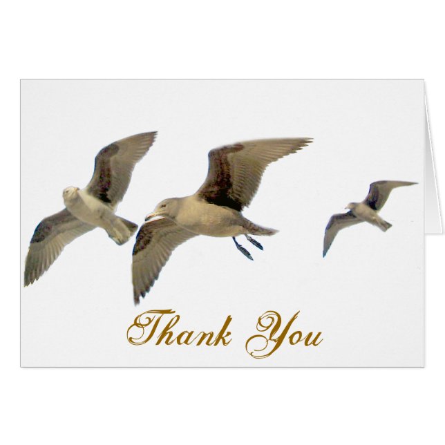 Cartão Viagem Segura_ (Frente Horizontal)