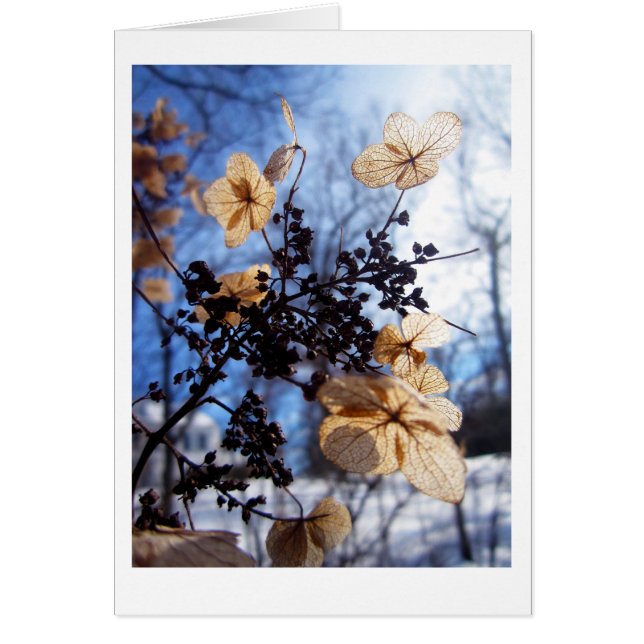 Cartão Vibração (Frente)