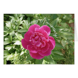 Cartão Vibrant Pink Peony Flower Anniversary Card