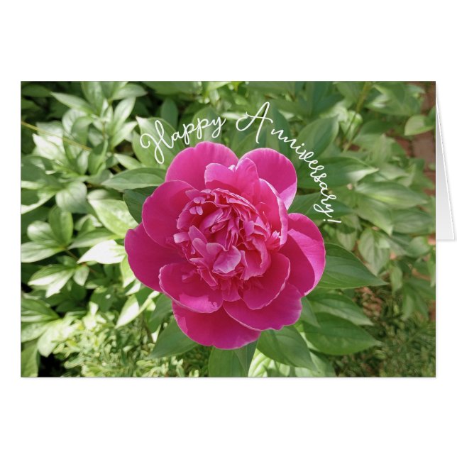 Cartão Vibrant Pink Peony Flower Anniversary Card (Frente Horizontal)