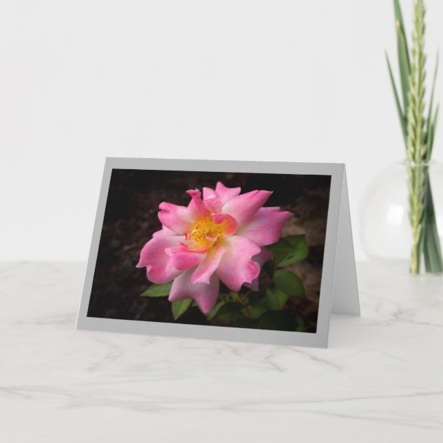 Cartão Vibrant pink rose golden center (Frente)
