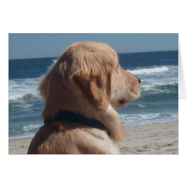 Cartão Vice-rei na praia (Frente horizontal)