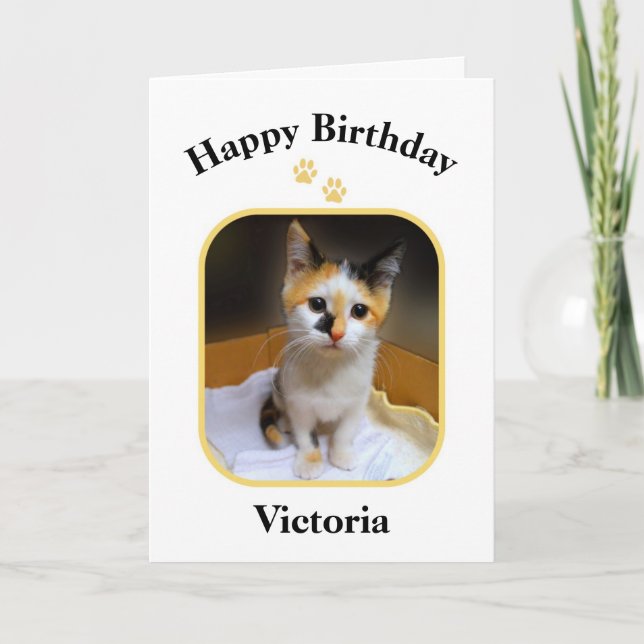 Cartão Victoria Calico Kitten Feliz Aniversário (Frente)