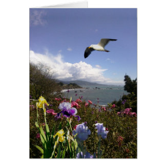 Cartão Vida Costeira