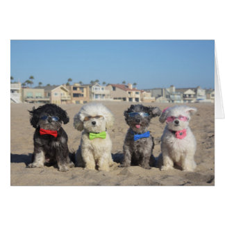 Cartão Vida da praia