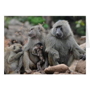 Cartão Vida encantada, lago Manyara