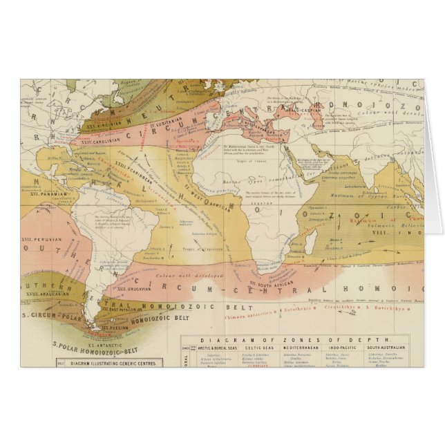 Cartão Vida marinha (Frente Horizontal)