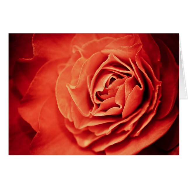 Cartão vida rosada (Frente Horizontal)