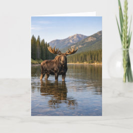 Cartão Vida Selvagem Rio Moose Mountain