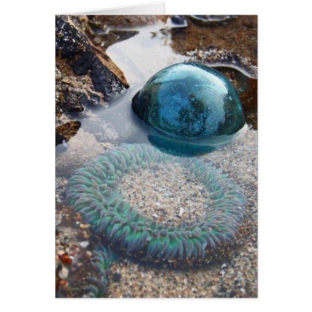 Cartão Vidro flutuante e anêmona (Frente)