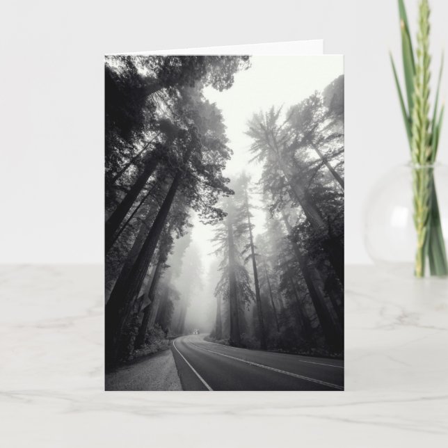 Cartão View Of Sequoia Trees In Forest (Frente)