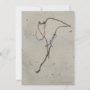 Cartão Vine/StandRock, Cannon Beach, Oregon