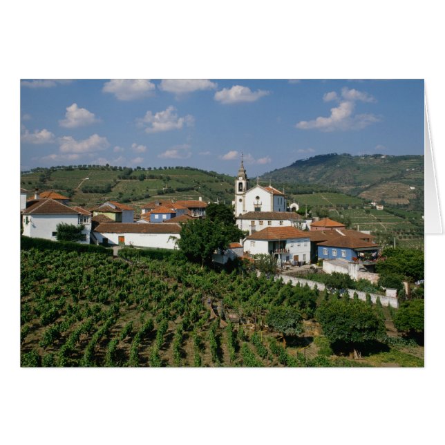 Cartão Vineyards, Vila de San Miguel, Douro (Frente Horizontal)