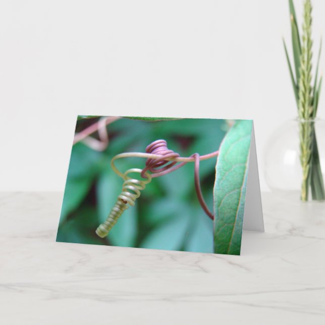 Cartão Vinha da Paixão (Frente)