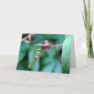 Cartão Vinha de Paixão