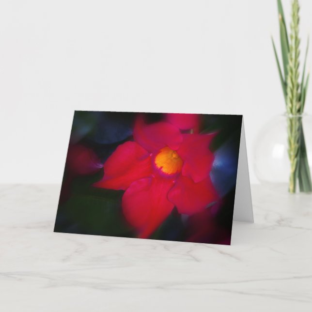Cartão Vinha Flor Vermelha (Frente)