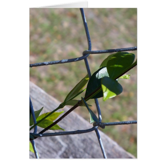 Cartão vinha numa cerca de elos de corrente - a vida enco (Frente)