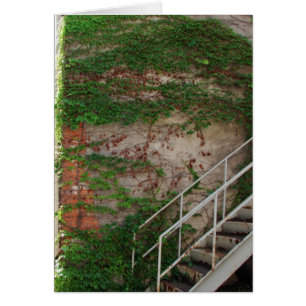 Cartão Vinhas De Marfim, Escadas, Muro De Brick