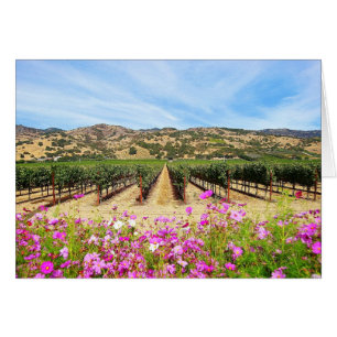 Cartão Vinhedo de Napa Valley Califórnia