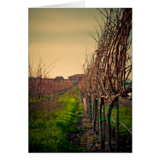 Cartão Vinhedos de Califórnia