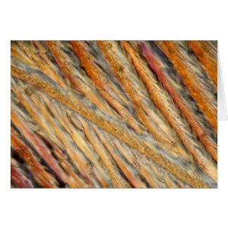 Cartão Vinho ao microscópio - Chardonnay