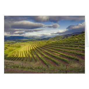 Cartão Vinícola. Vale de Napa. Napa. Condado de Napa,