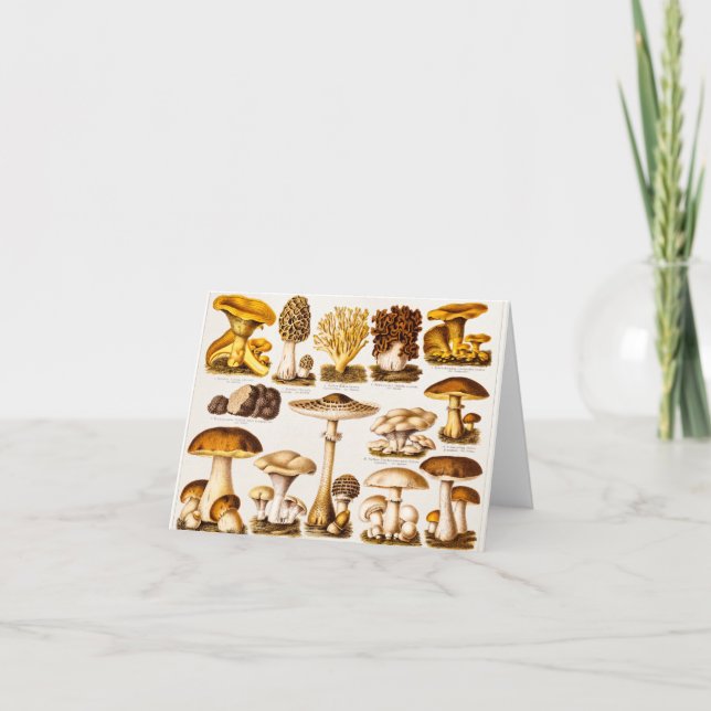Cartão Vintage 1800s Mushroom Variety Template (Frente)
