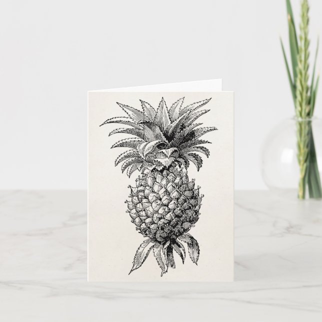 Cartão Vintage 1800s Pineapple Illustration Pineapples (Frente)