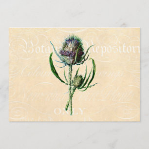 Cartão Vintage 1902 - Xistle Antique Wildflower escocês