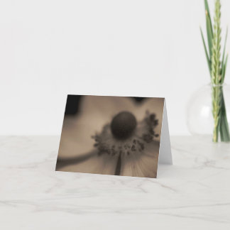 Cartão Vintage Anemone Greetings & Note Card