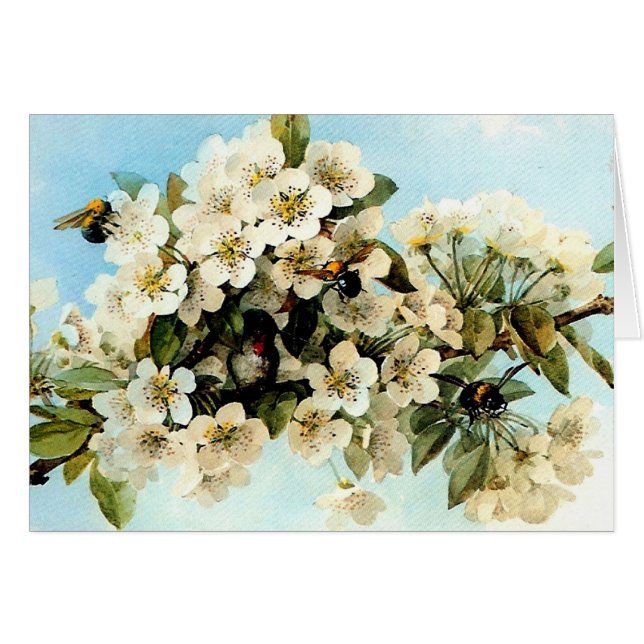 Cartão Vintage Apple Blossoms (Frente Horizontal)